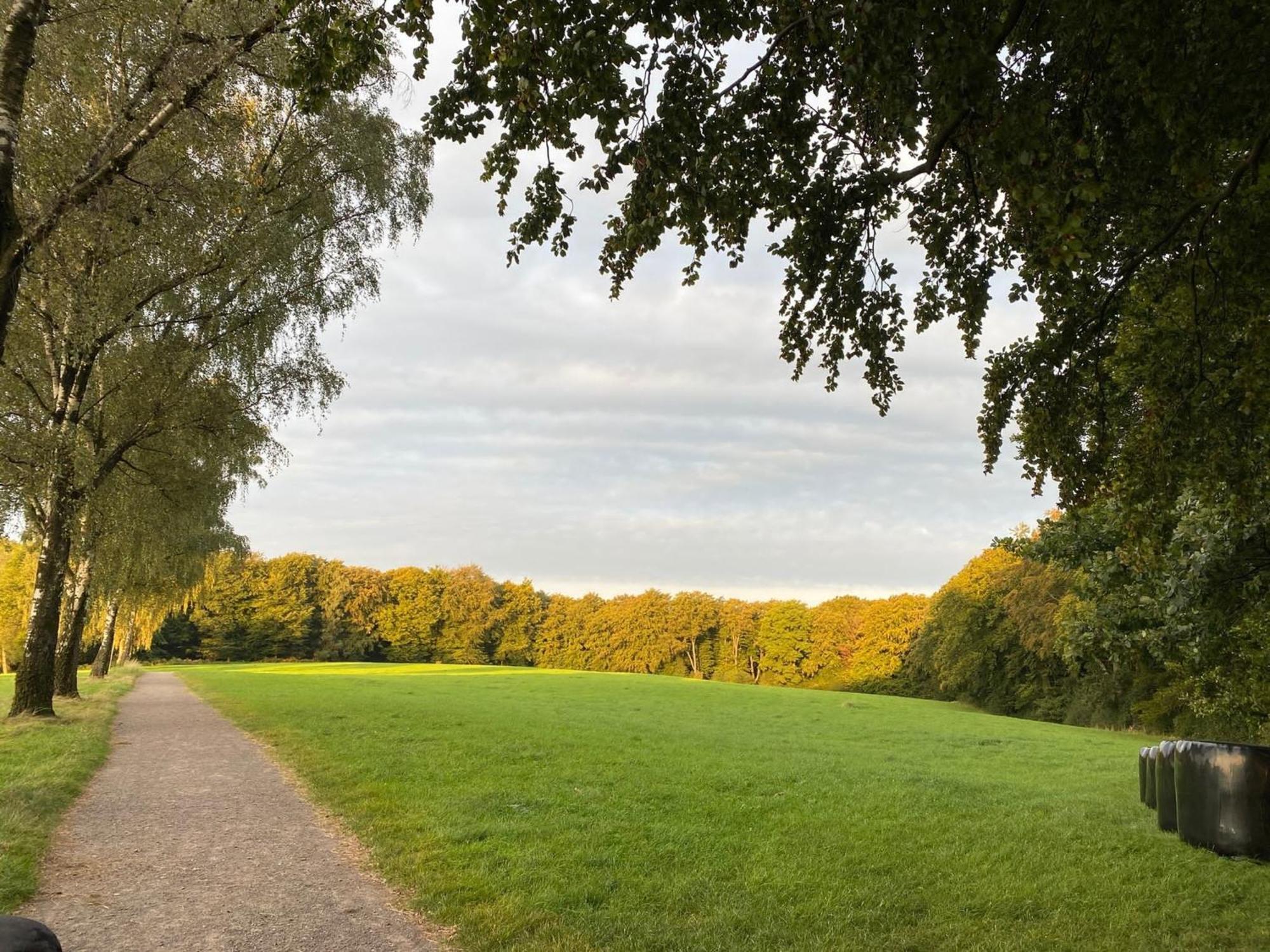 Ferienwohnung Senderblick Hattingen Exterior foto